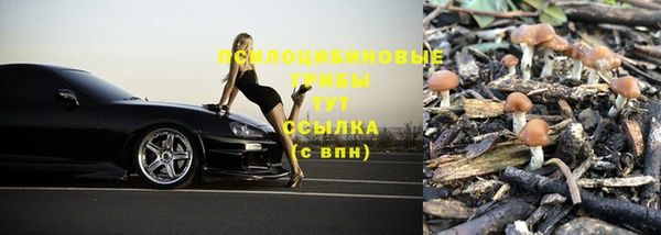 бутират Нязепетровск