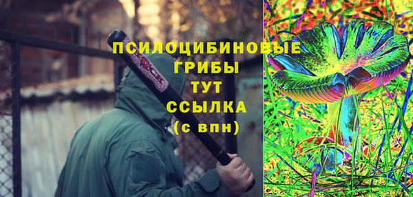 прущие крисы Няндома