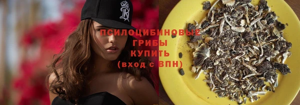 прущие крисы Няндома