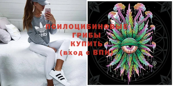 прущие крисы Няндома