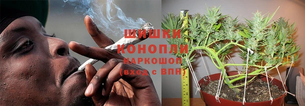 прущие крисы Няндома