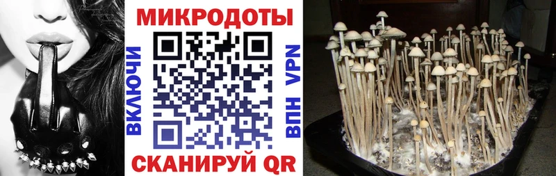 Псилоцибиновые грибы Psilocybine cubensis  закладки  Кубинка 