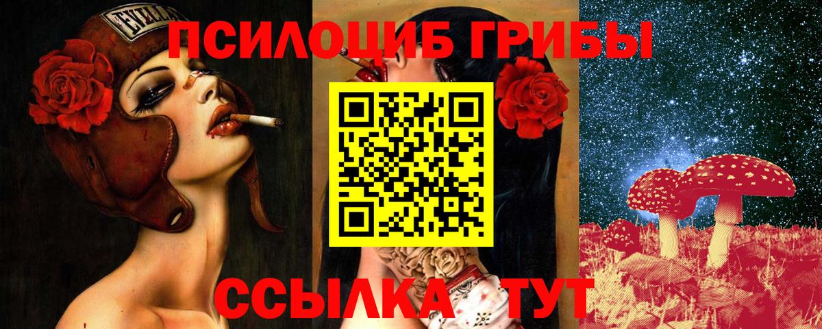 Псилоцибиновые грибы Psilocybine cubensis Кубинка